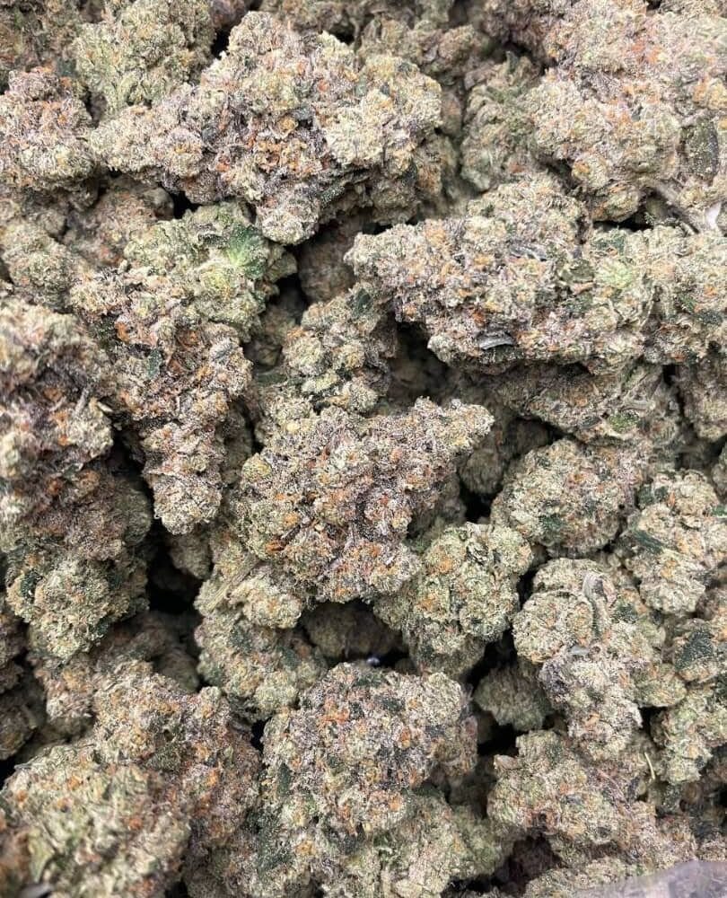 PURPLE PLATINUM BUBBA KUSH