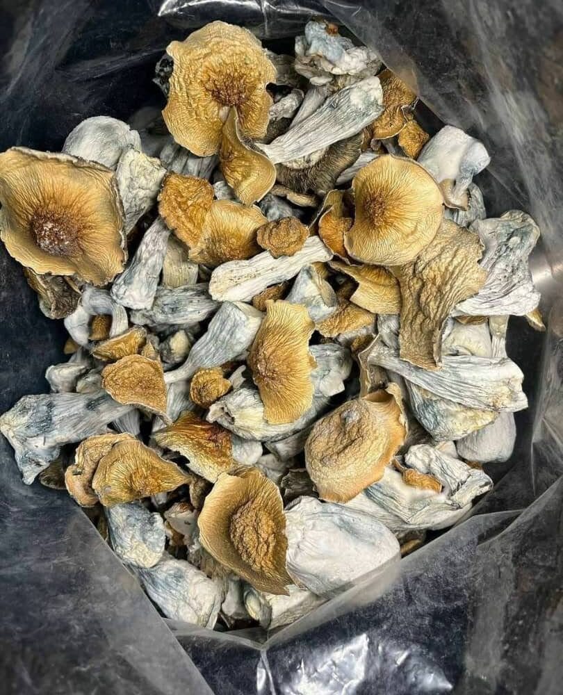 shrooms available