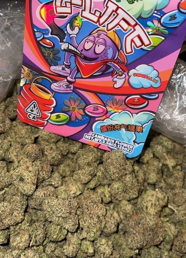 MAYOR,Z-LIFE KUSH