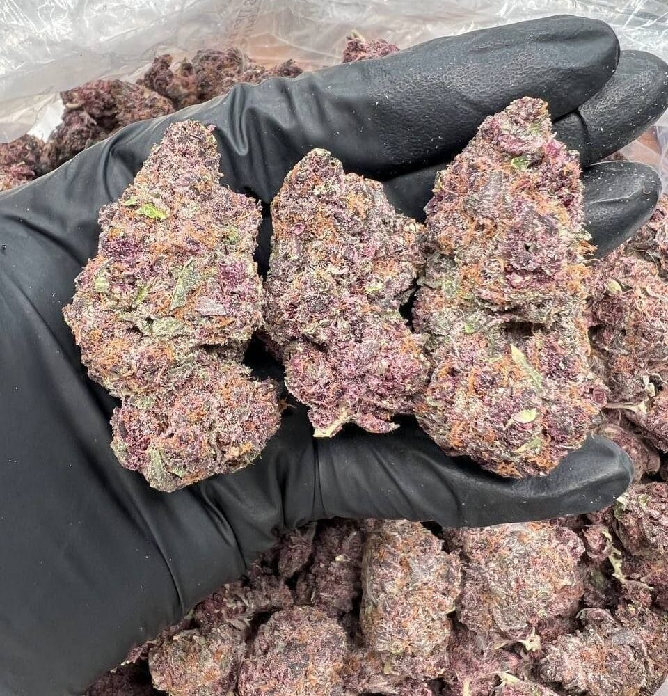 Pink starburt