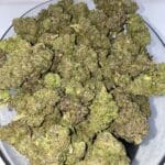Blueberry Muffin Strain Copy