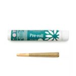 Apples and Bananas - 1g Pre Roll - Garden Remedies