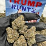 Trump Runtz OG