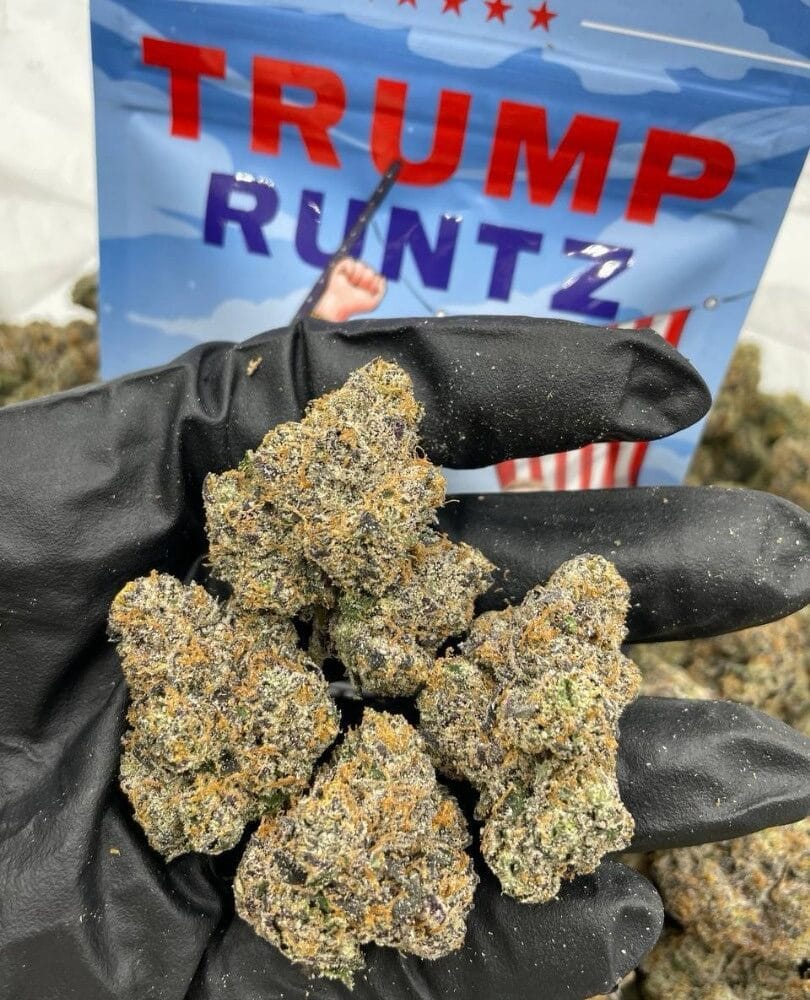 Shop Primary Image Shop Primary Image