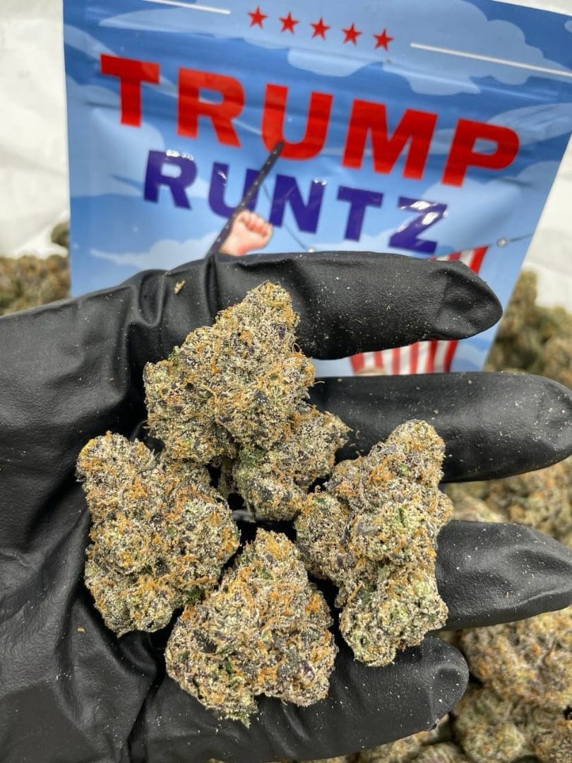 Trump Runtz OG
