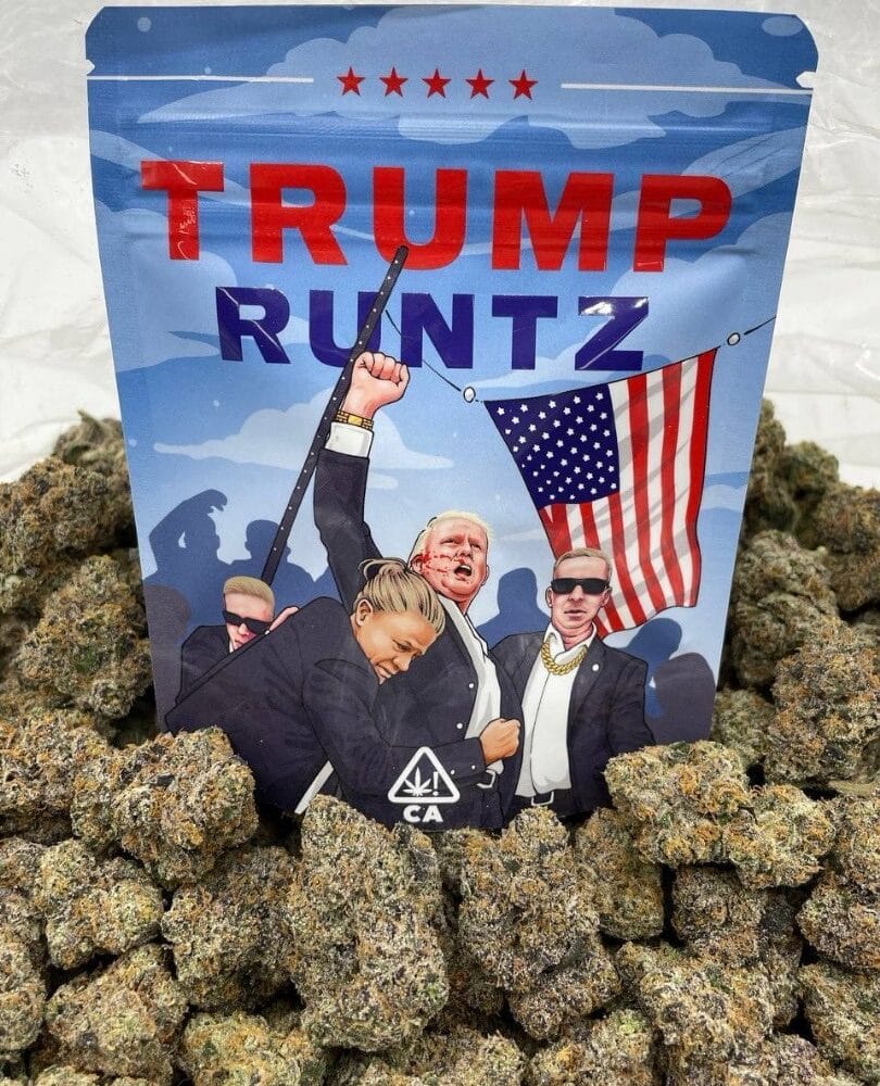 Shop Secondary Image Shop Secondary Image