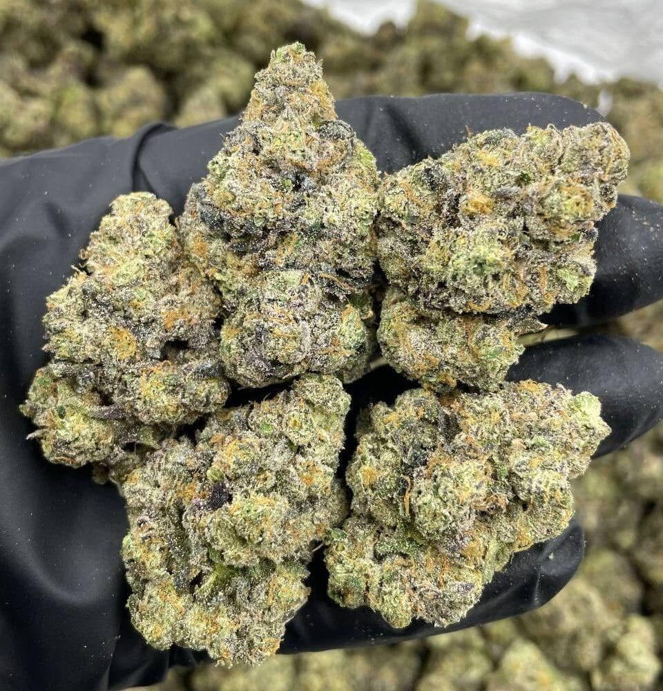 Shop Primary Image Shop Primary Image