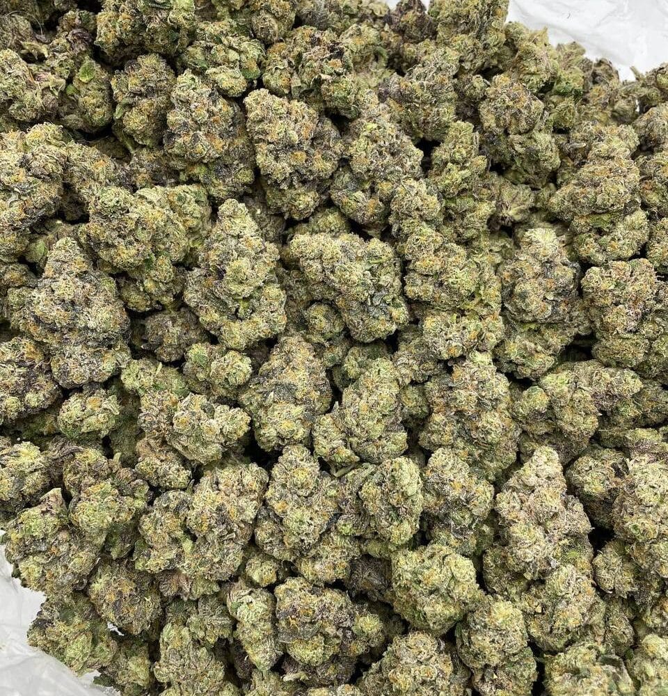 Shop Secondary Image Shop Secondary Image