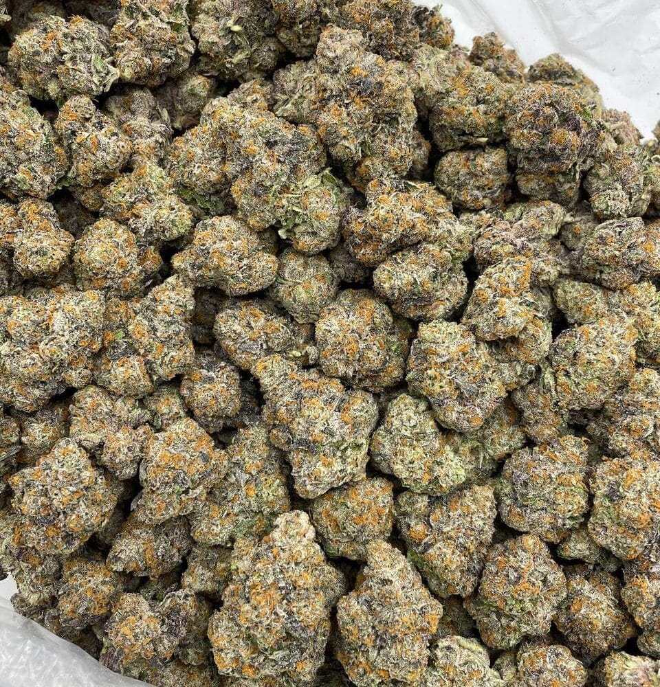 Shop Secondary Image Shop Secondary Image