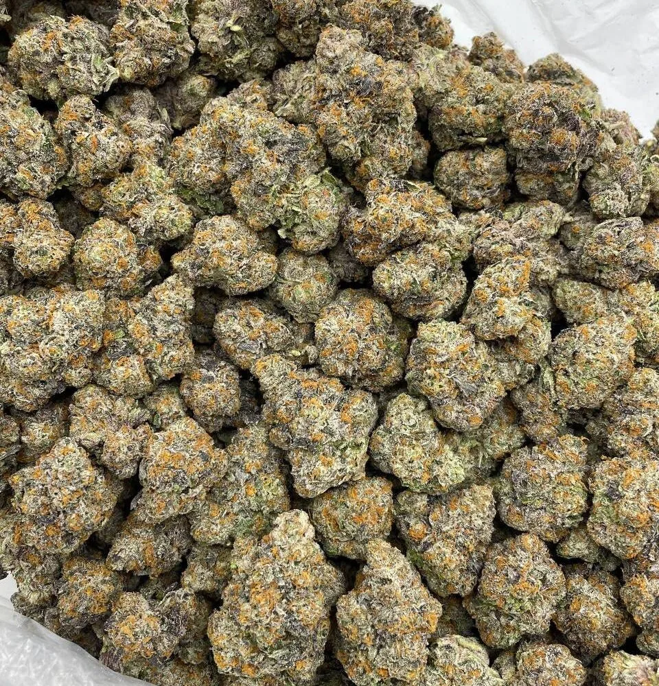 Shop Secondary Image