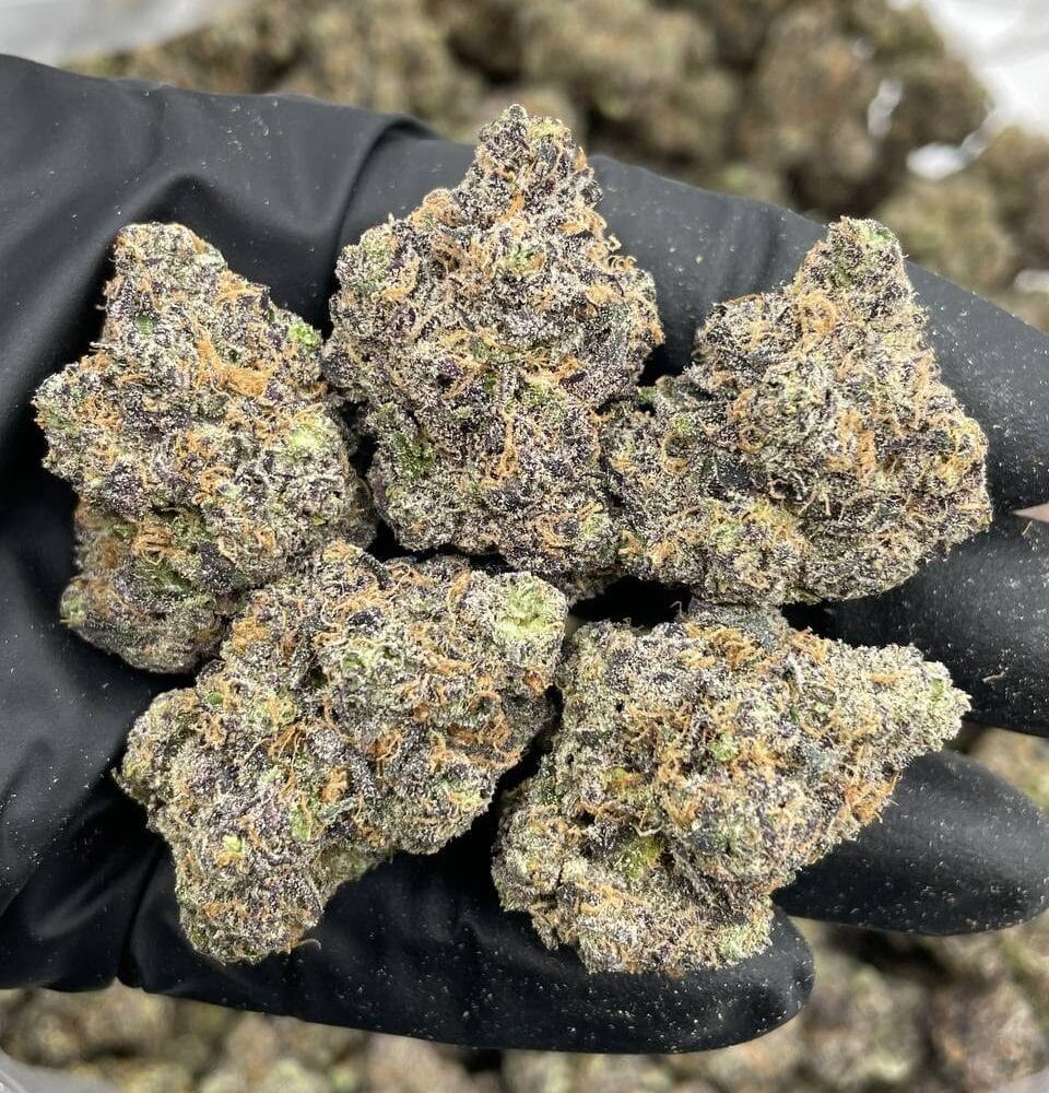 Shop Primary Image Shop Primary Image