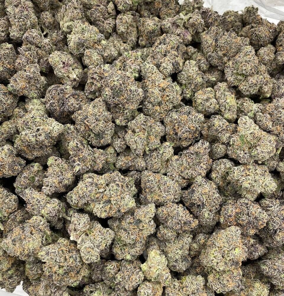 Shop Secondary Image Shop Secondary Image