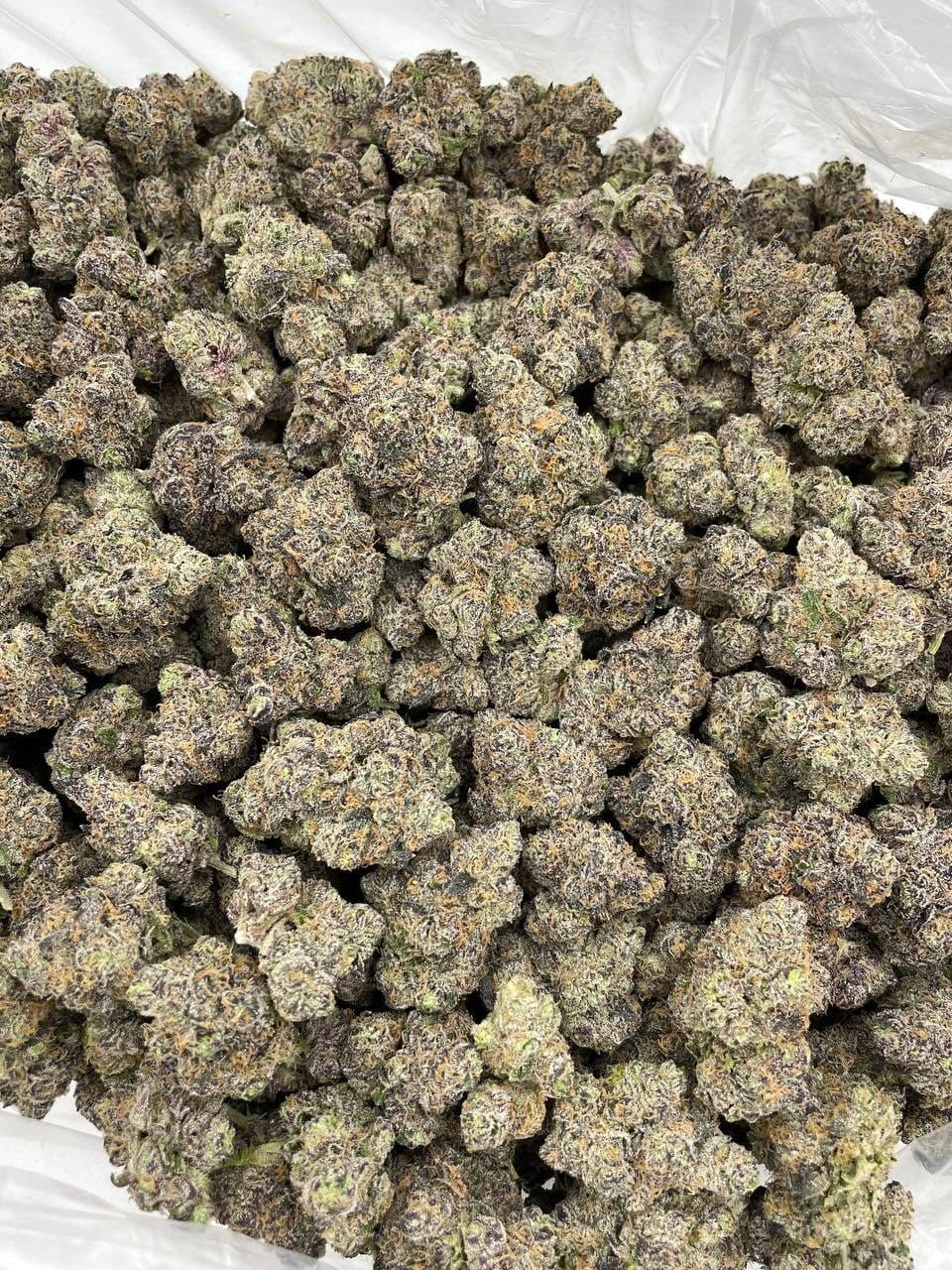 Buy Violet Venomz Indoor Flower Online | CannalDripsLeaf - Image 2