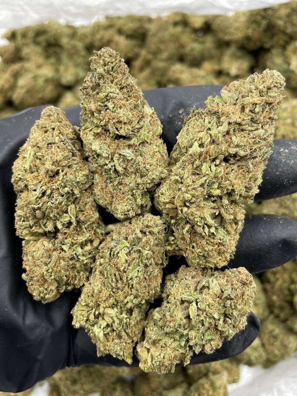 Buy Pink Crashers Deps Flower Online | CannalDripsLeaf