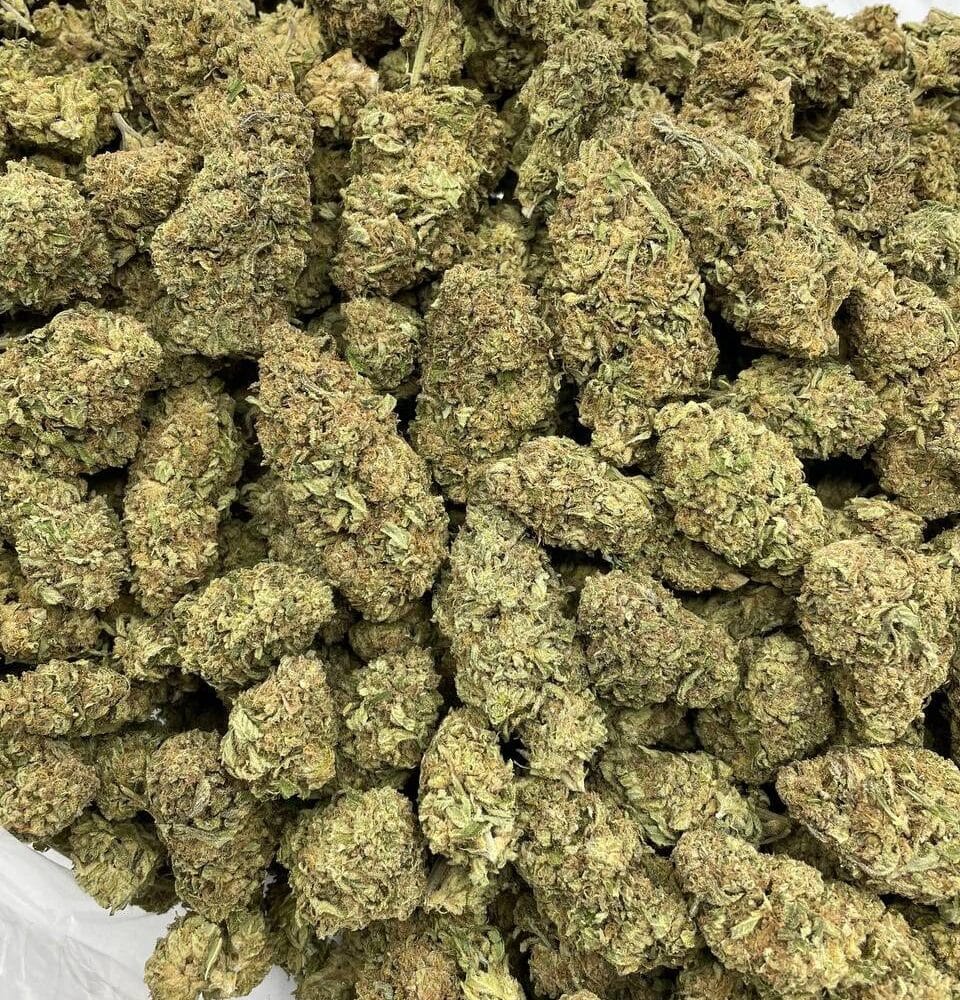 Shop Secondary Image Shop Secondary Image