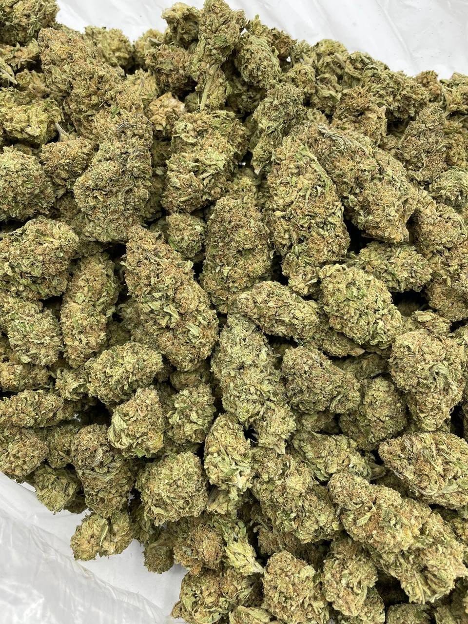 Buy Pink Crashers Deps Flower Online | CannalDripsLeaf - Image 2