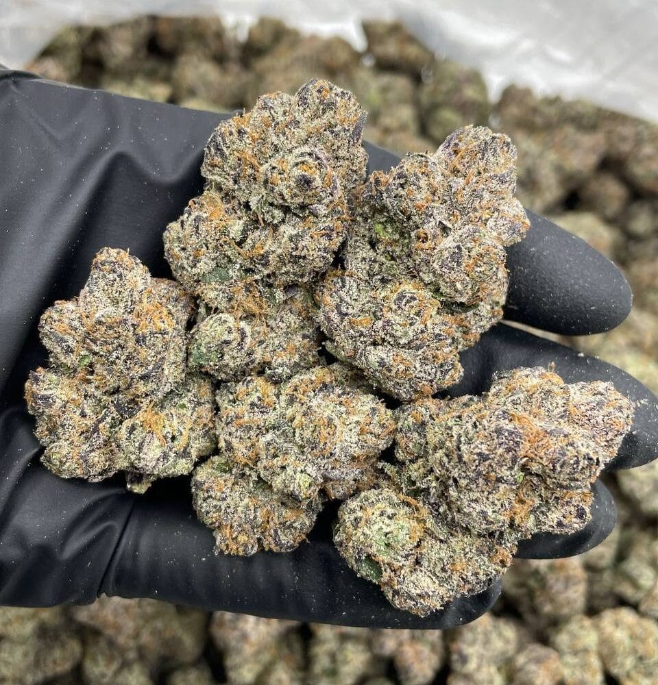 Shop Primary Image Shop Primary Image