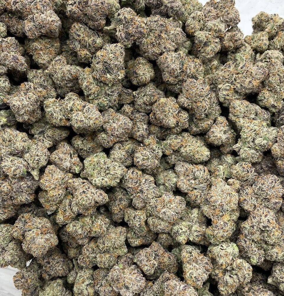 Shop Secondary Image Shop Secondary Image