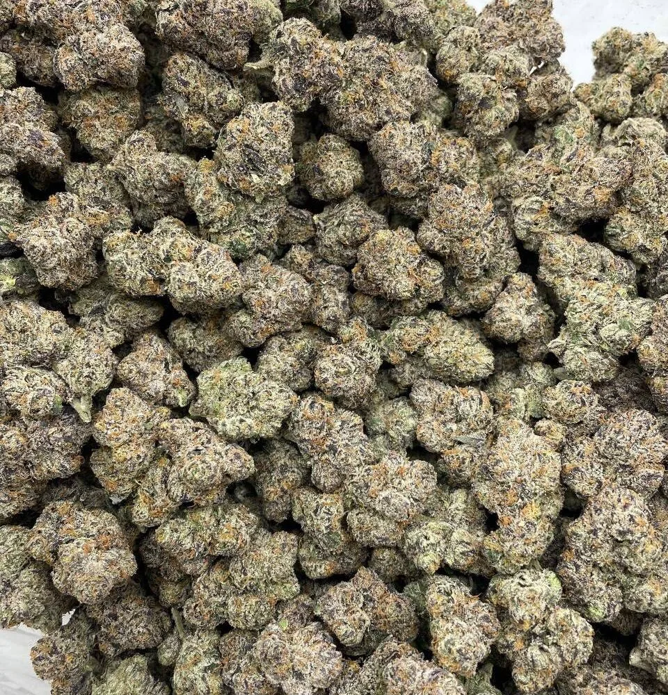 Shop Secondary Image