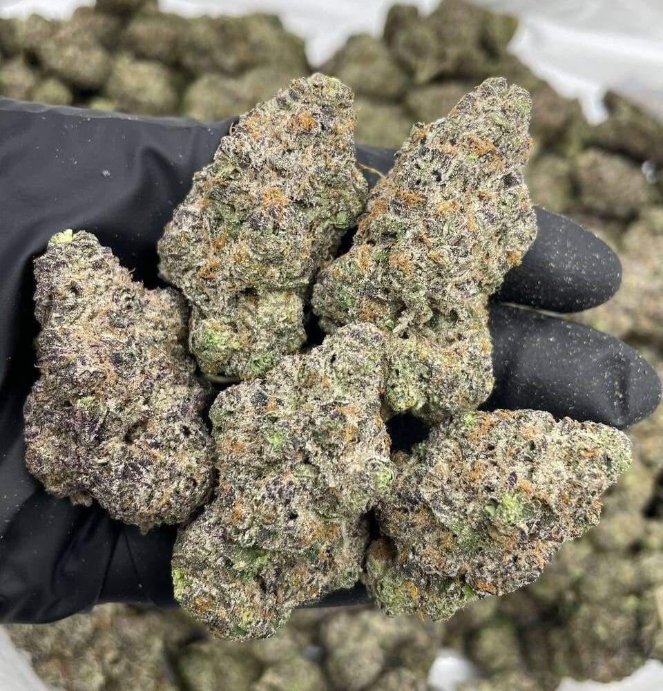 Shop Primary Image Shop Primary Image