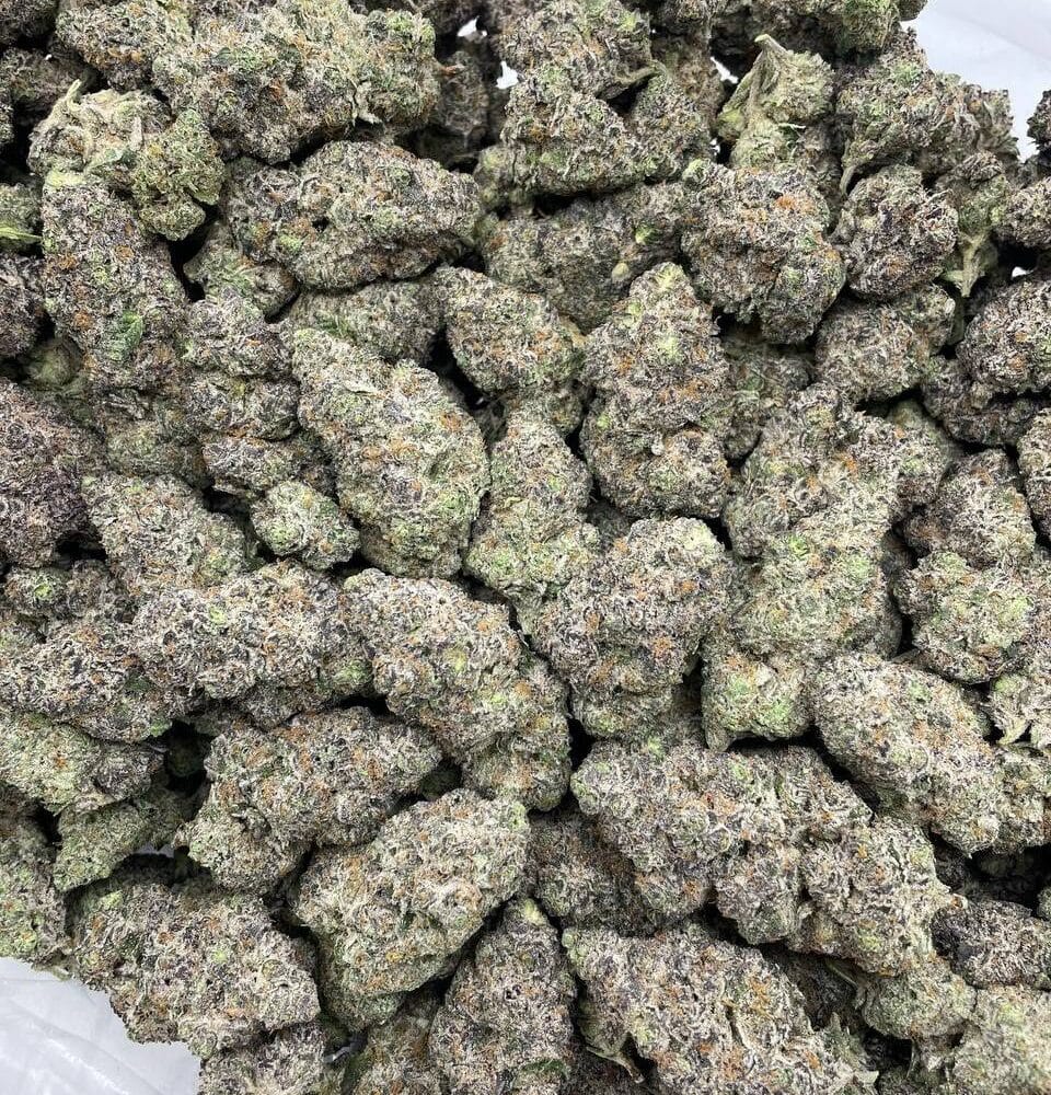 Shop Secondary Image Shop Secondary Image