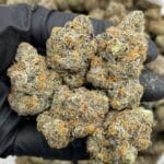 Frozen Jawbreakers Indoor – Rainbow Sherbet Candy Gas | Cannaldripsleaf