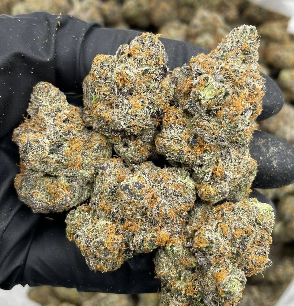 Shop Primary Image Shop Primary Image