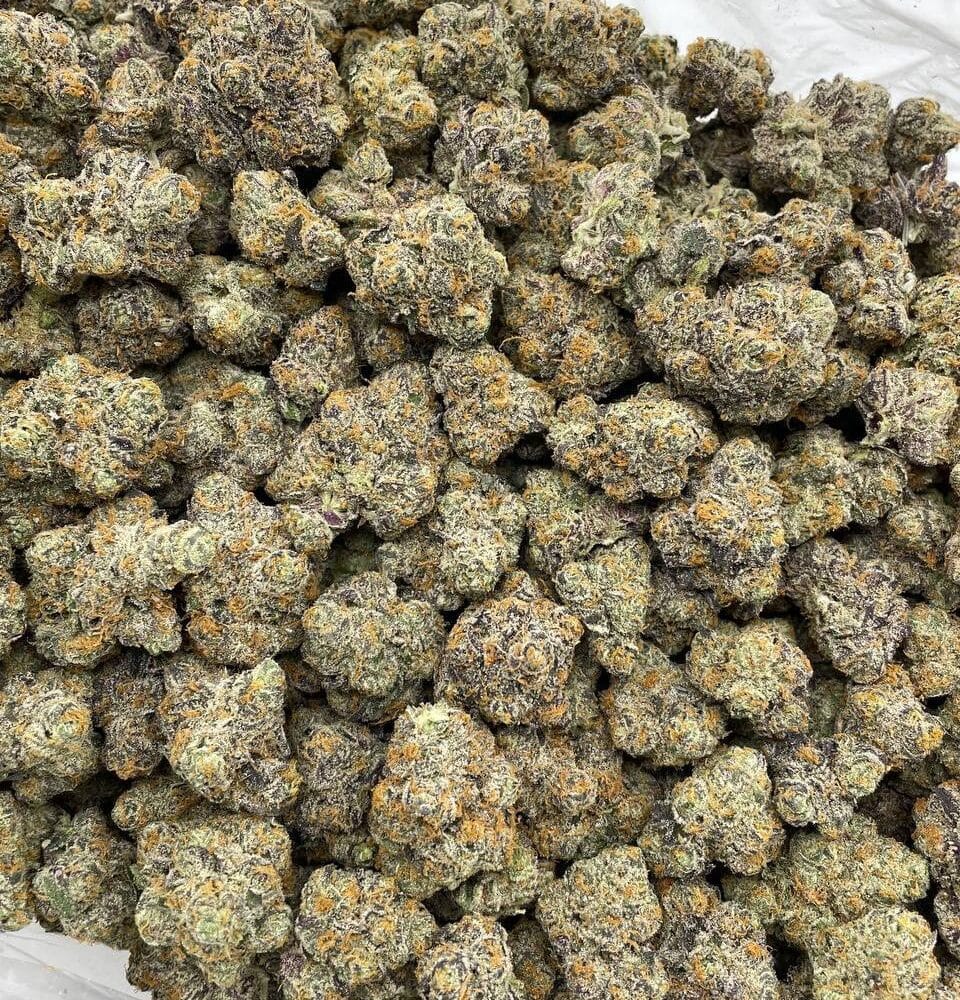 Shop Secondary Image Shop Secondary Image