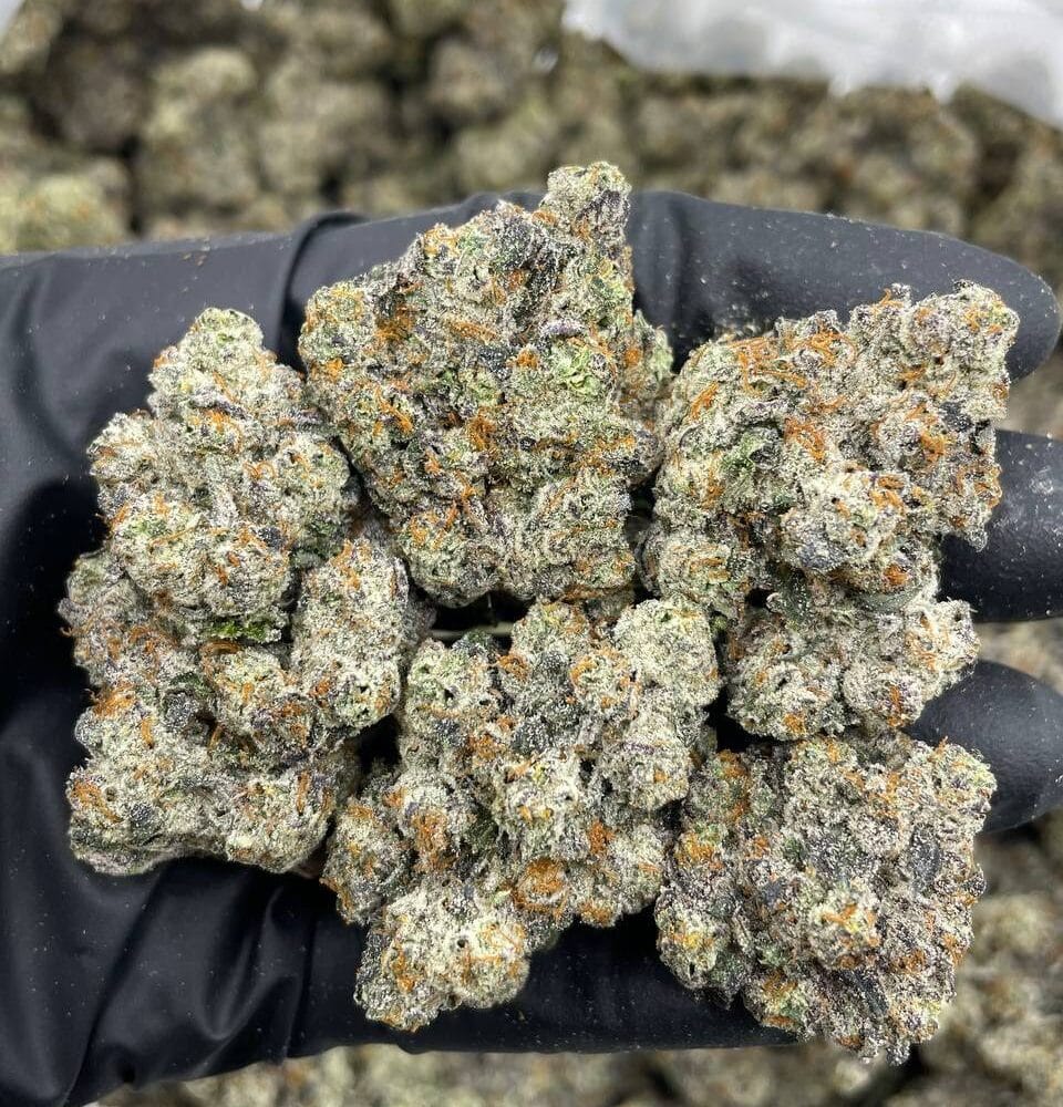 Shop Primary Image Shop Primary Image