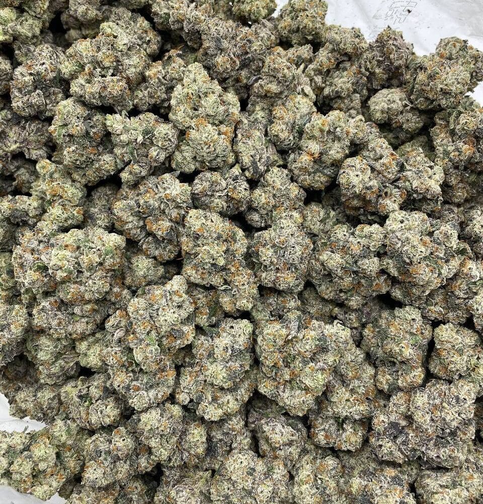 Shop Secondary Image Shop Secondary Image