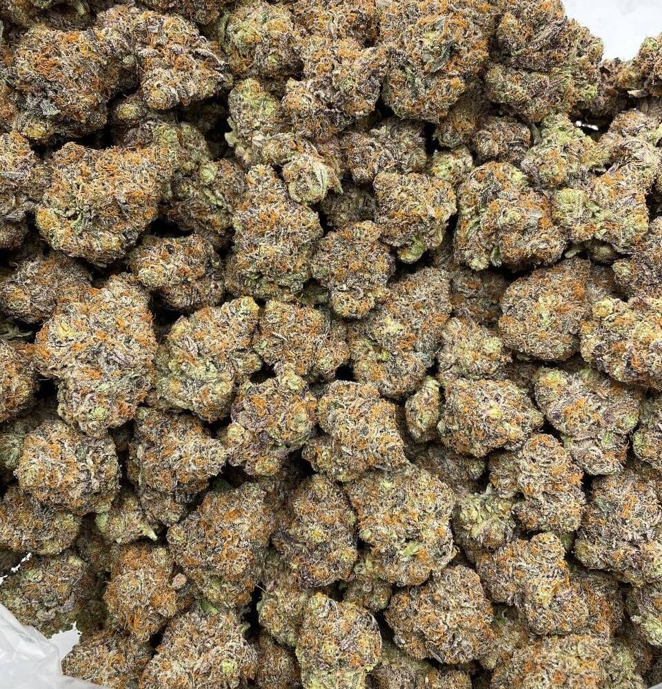 Shop Secondary Image Shop Secondary Image