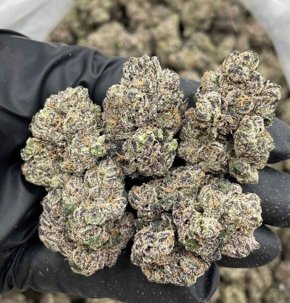 Shop Primary Image Shop Primary Image