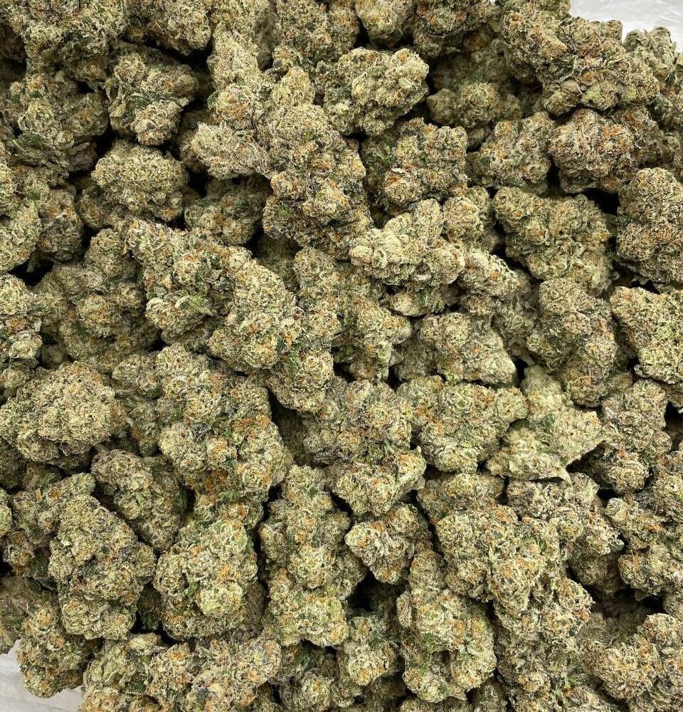 Shop Secondary Image Shop Secondary Image