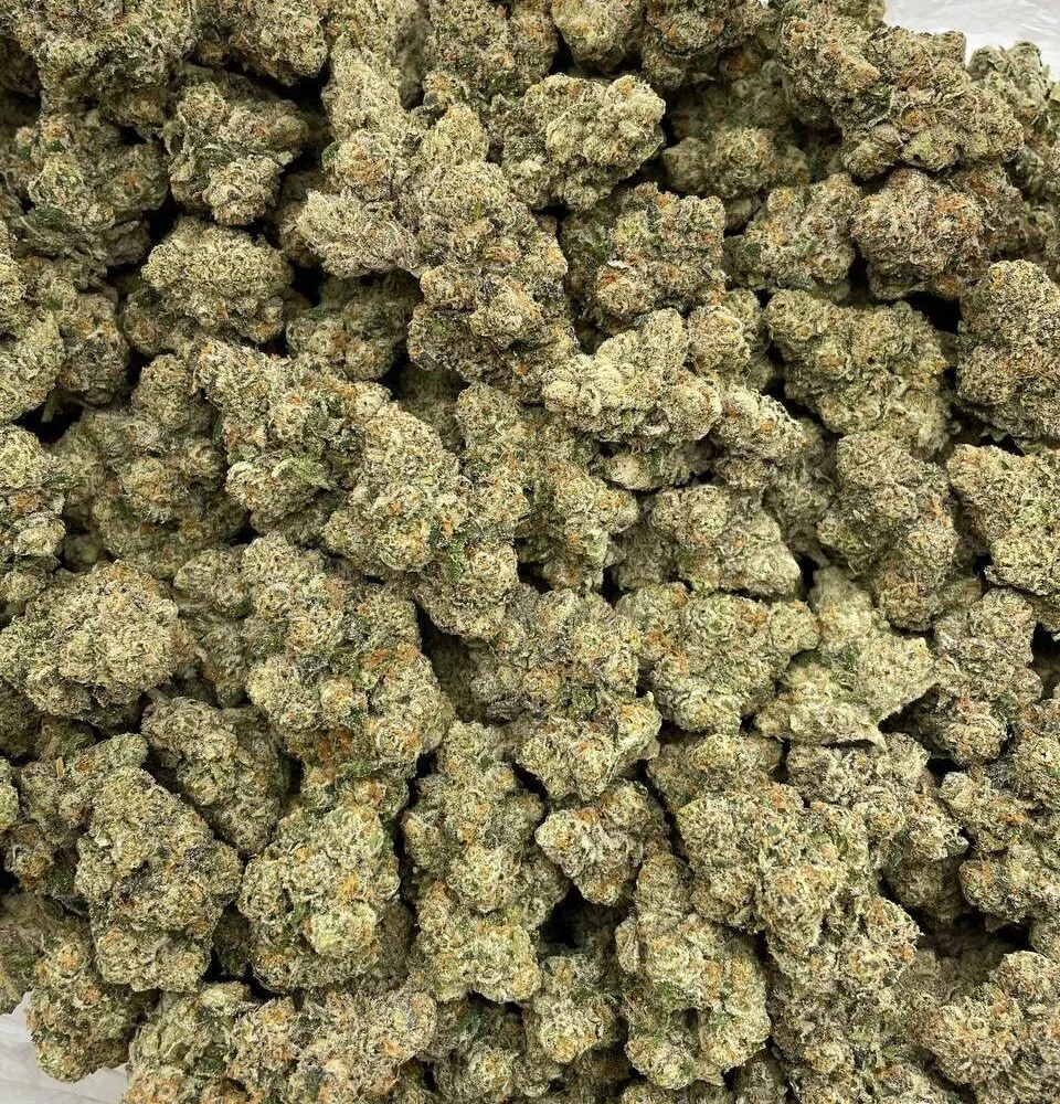 Shop Secondary Image