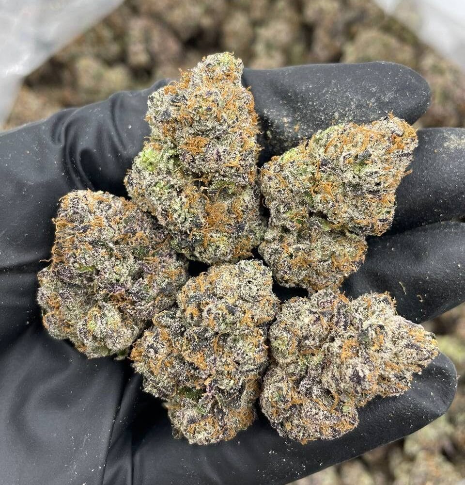 Shop Primary Image Shop Primary Image