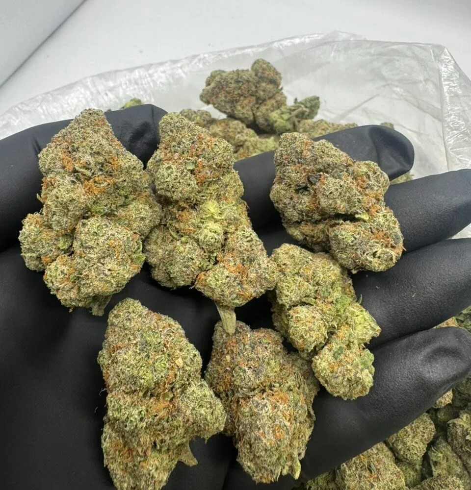 Shop Secondary Image