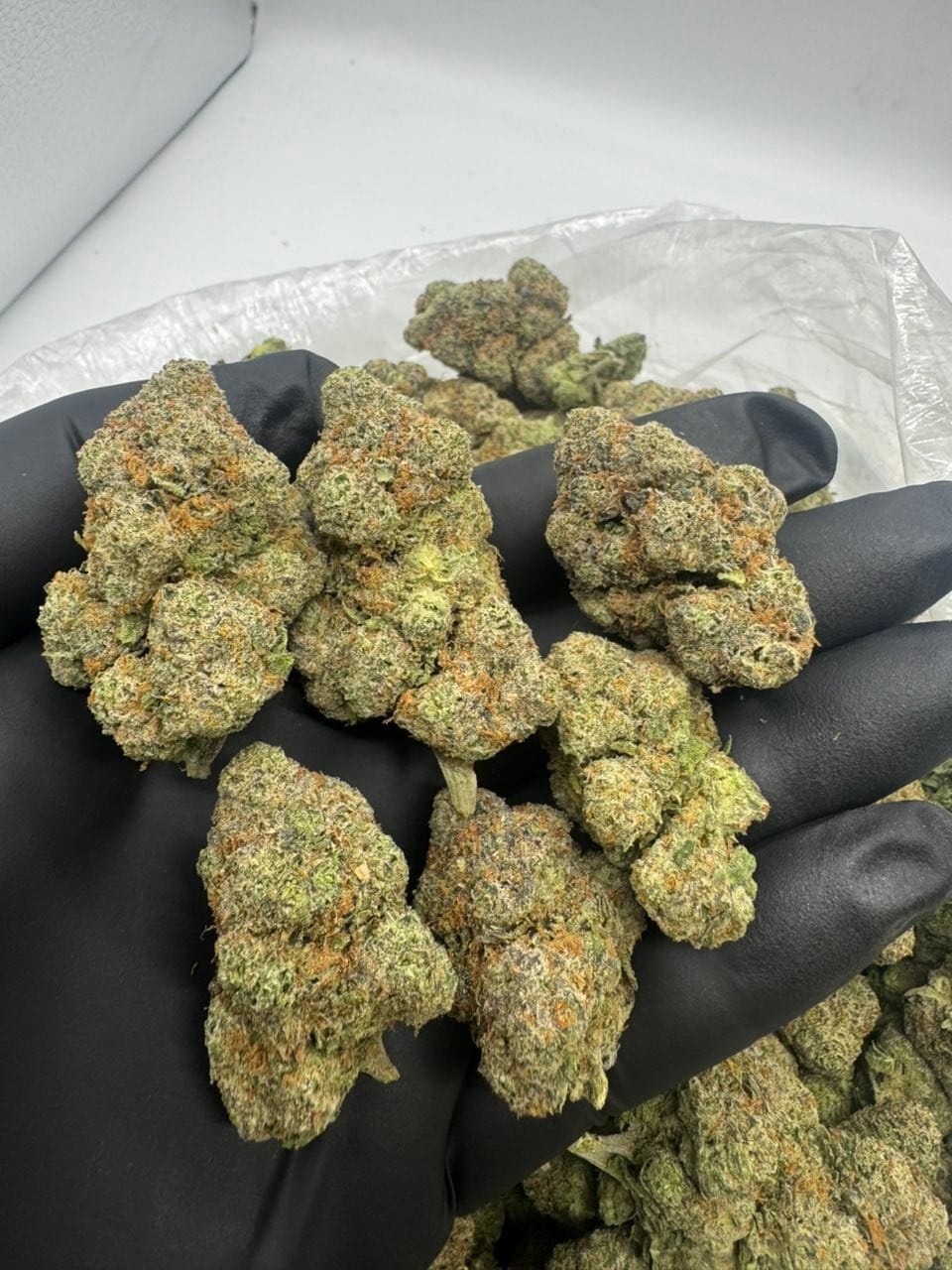 LCG 42 Indoor Candies – Lemon Cherry Candy Gas | Cannaldripsleaf - Image 2