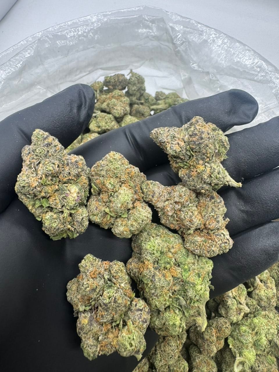 LCG 42 Indoor Candies – Lemon Cherry Candy Gas | Cannaldripsleaf