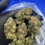 296 Grape Pie – Premium Exotic Indoor Flower | Sweet Grape Dessert Strain – Cannaldripsleaf