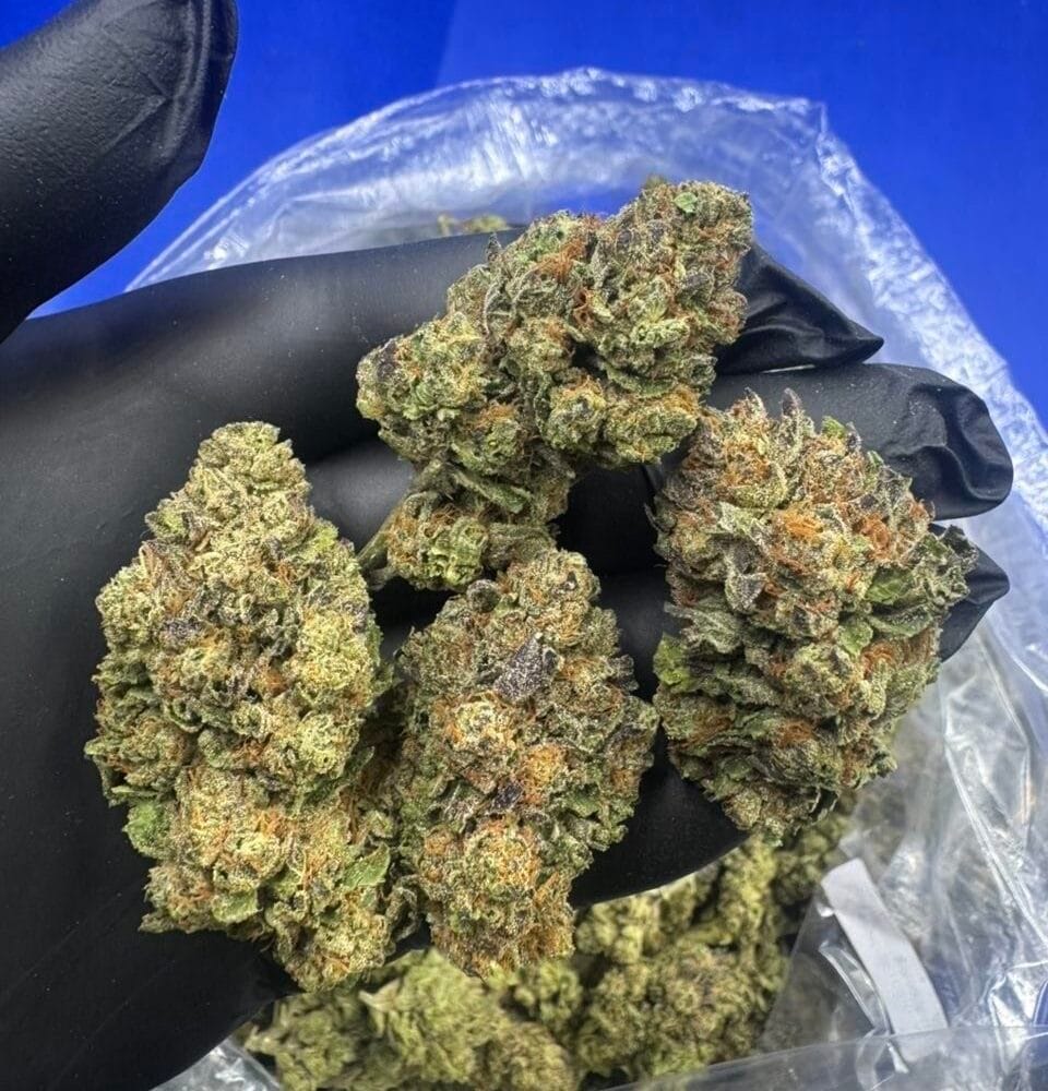 Shop Primary Image Shop Primary Image