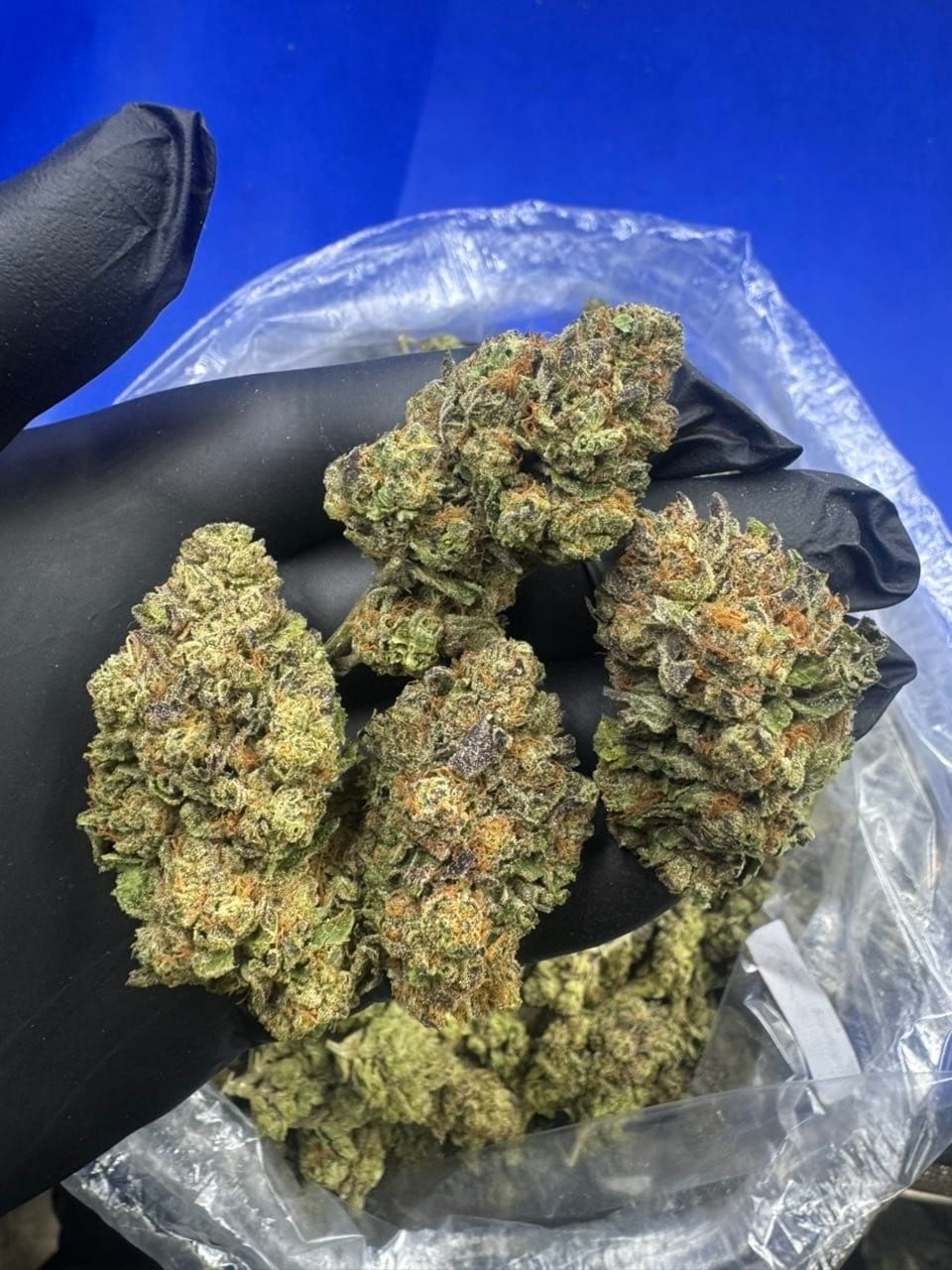 296 Grape Pie – Premium Exotic Indoor Flower | Sweet Grape Dessert Strain – Cannaldripsleaf