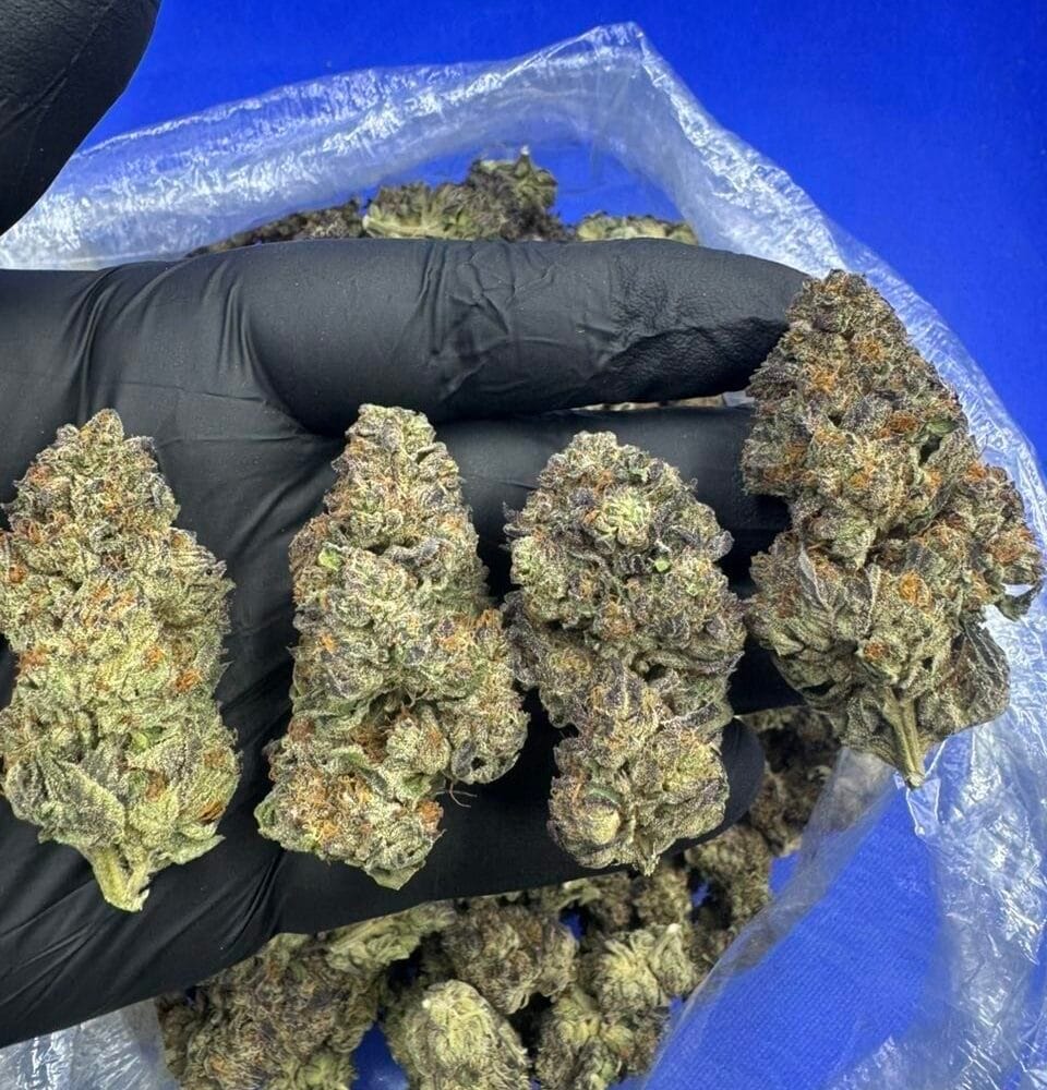 Shop Secondary Image Shop Secondary Image