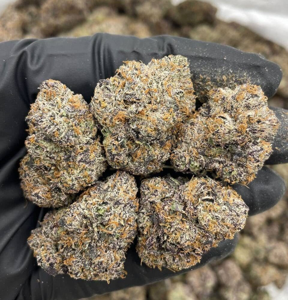 Shop Primary Image Shop Primary Image