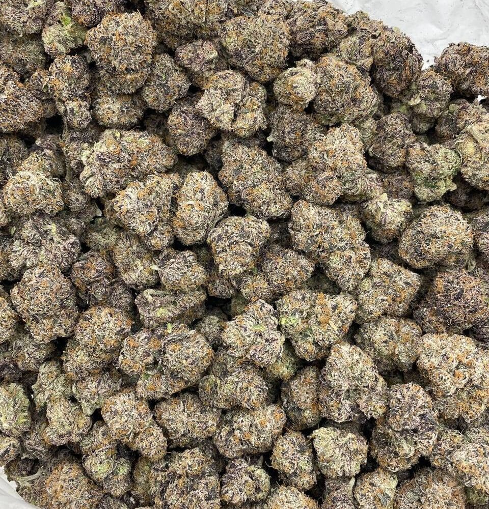 Shop Secondary Image Shop Secondary Image