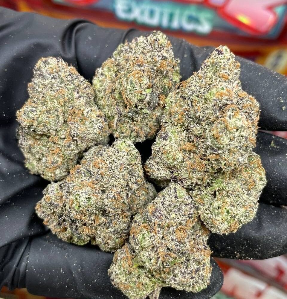 Shop Primary Image Shop Primary Image