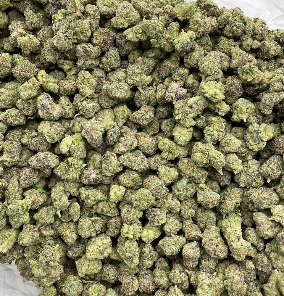 Shop Secondary Image Shop Secondary Image