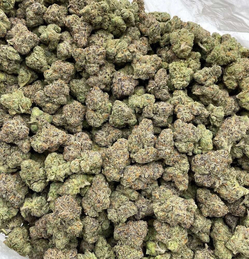 Shop Secondary Image Shop Secondary Image