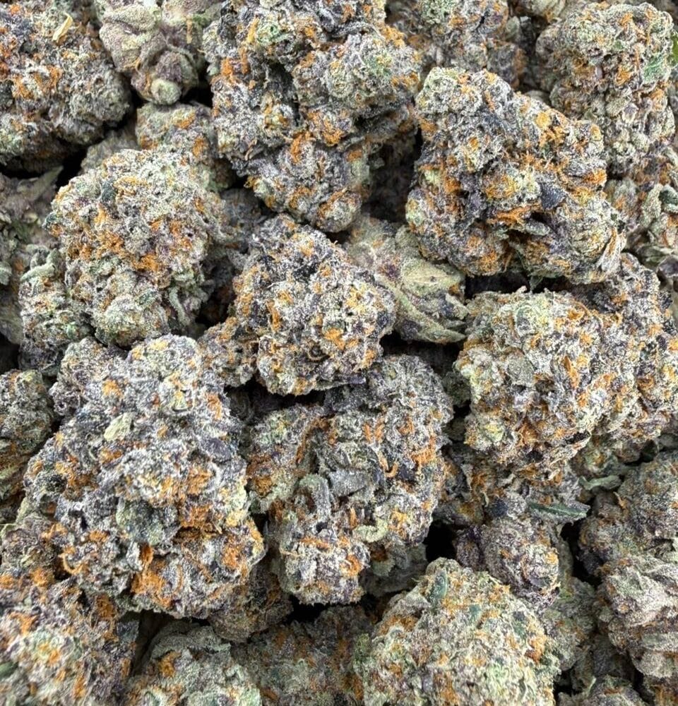 Shop Secondary Image Shop Secondary Image