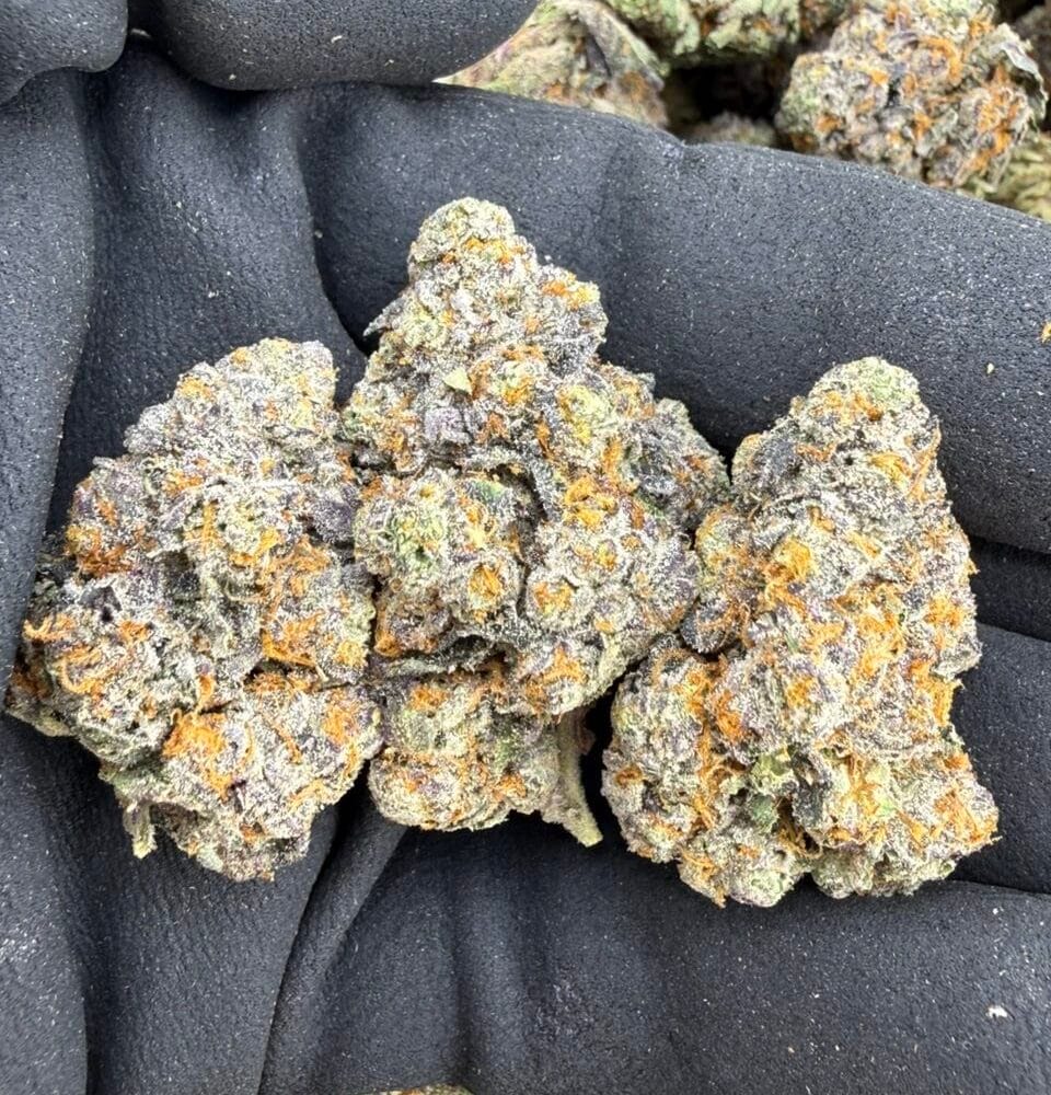 Shop Primary Image Shop Primary Image