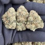 OG Kush Premium Indoor Flower – Classic Potent Gas Strain | CannalDripsLeaf
